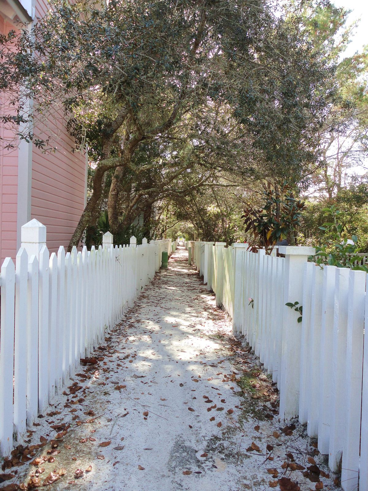 Pastel coastal cottage architecture along a walkway in Seaside on 30A